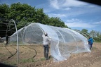 Jardins associatifs-220511-044