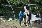 Jardins associatifs-220511-022