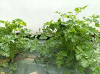 IMG 20230405 094247